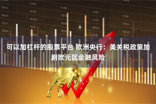 可以加杠杆的股票平台 欧洲央行：美关税政策加剧欧元区金融风险